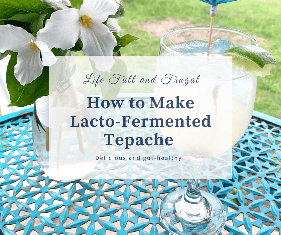 How to Make Lacto-Fermented Tepache