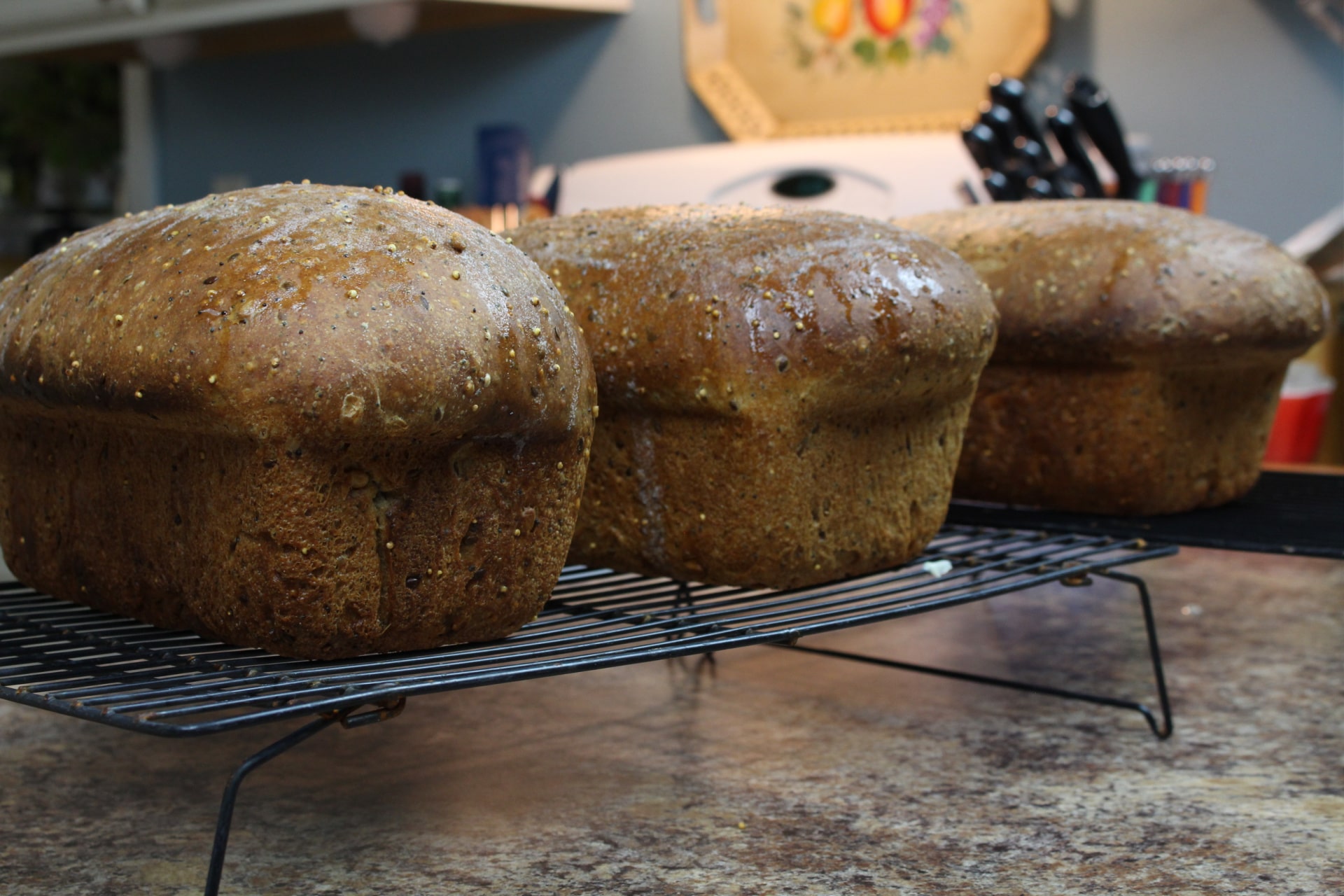 How to Make Sourdough Bread: A Multigrain Sandwich Loaf