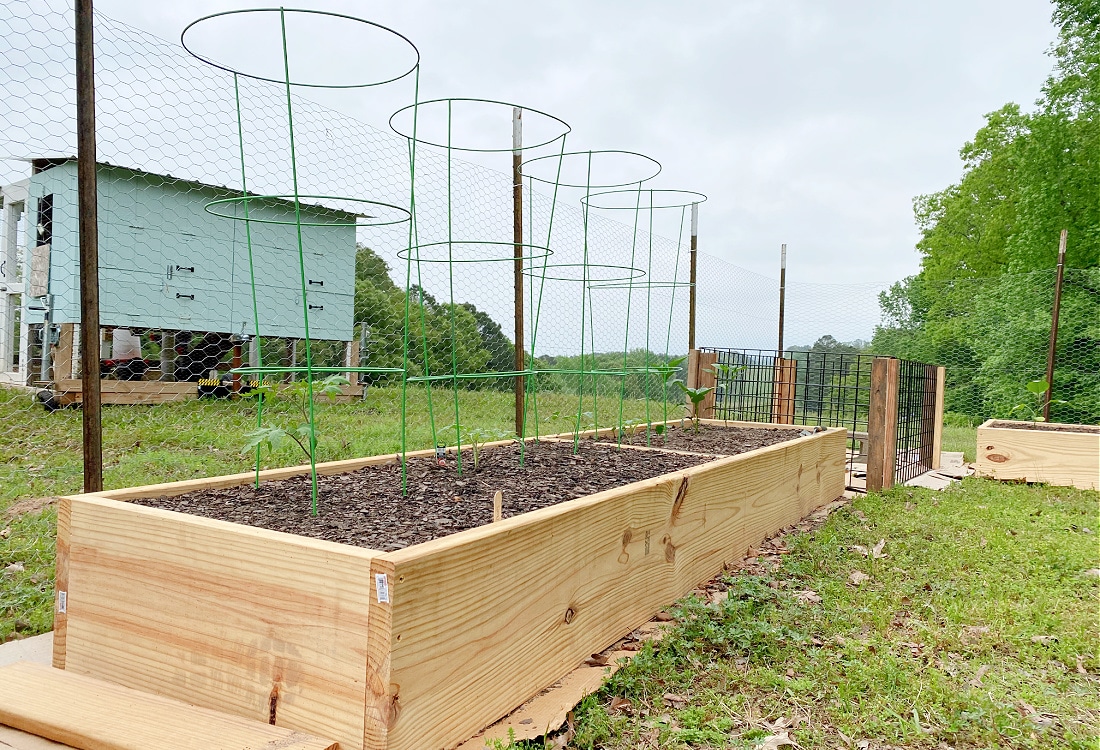 DIY Raised Bed Garden Boxes Using Untreated 2×12 Pine Boards